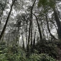 Kem Kubang ico