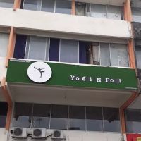 Yogi and Pot ico