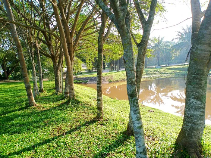 Puteri Central Park (PCP) Picture 6
