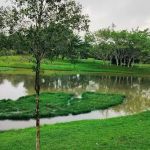 Puteri Central Park (PCP)