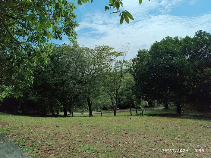 Puteri Central Park (PCP) Picture 4