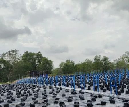 Ilyasbillah Agrofarm
