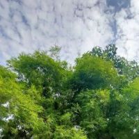 River walk Desaria ico