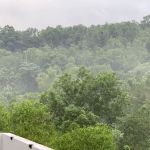Forest Reserve (BK5B)