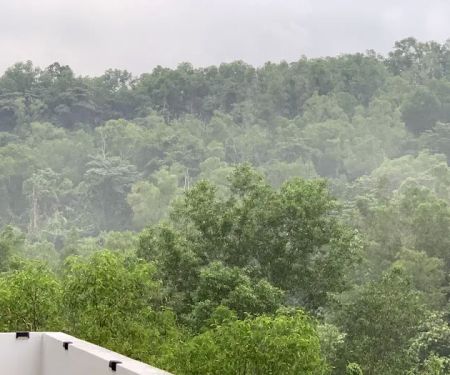 Forest Reserve (BK5B)
