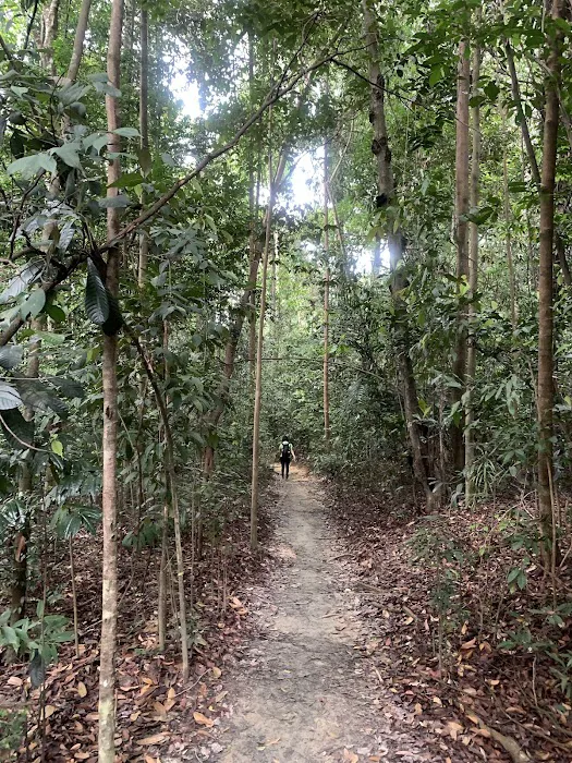 Wawasan Hill Trail Picture 3