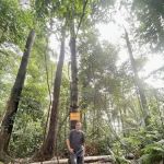 Wawasan Hill Trail