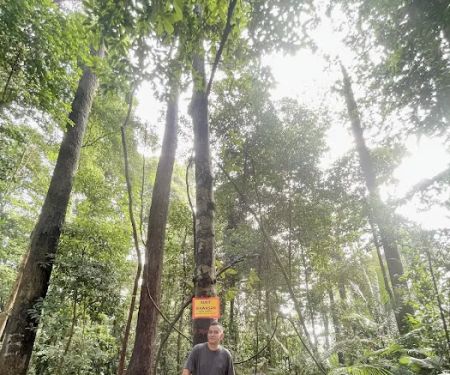 Wawasan Hill Trail