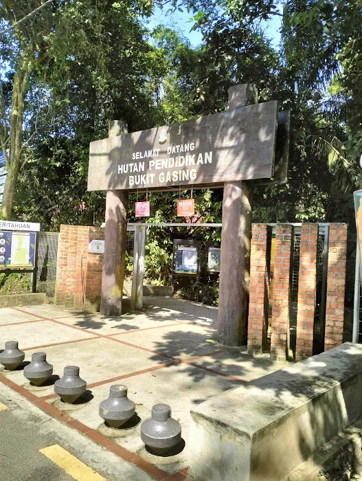 Bukit Gasing Hiking Trail Picture 4