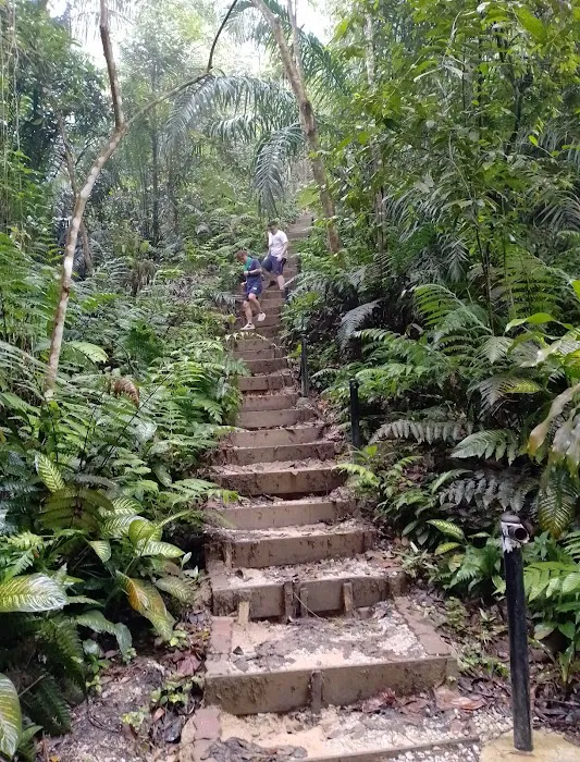 Bukit Gasing Hiking Trail Picture 1