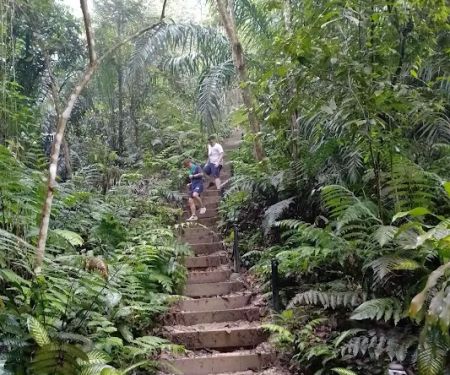 Bukit Gasing Hiking Trail