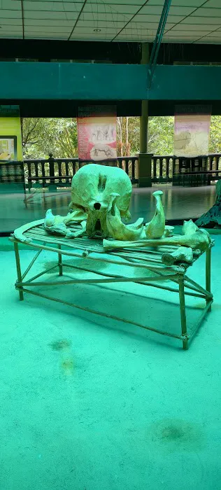Tengku Hassanal Wildlife Reserve Picture 2