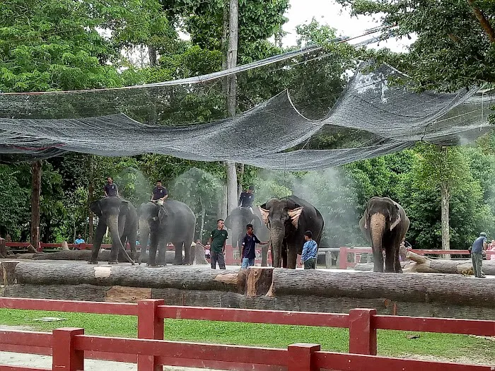 Tengku Hassanal Wildlife Reserve Picture 8