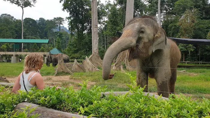 Tengku Hassanal Wildlife Reserve Picture 3