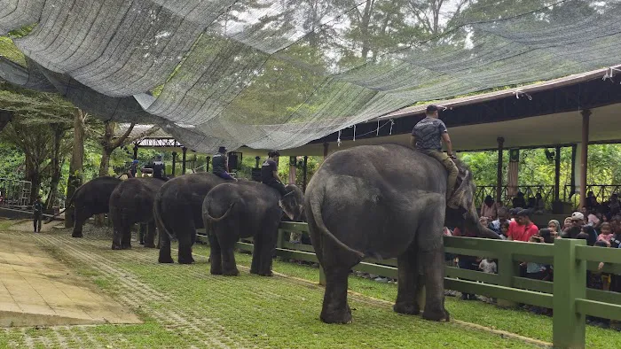 Tengku Hassanal Wildlife Reserve Picture 6