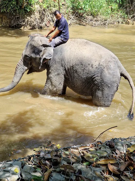 Tengku Hassanal Wildlife Reserve Picture 4