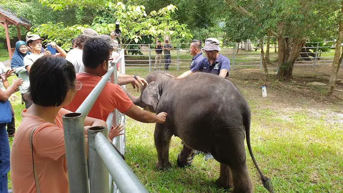Tengku Hassanal Wildlife Reserve Picture 9