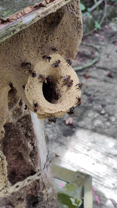 Bilut Valley Bee Farm Picture 3
