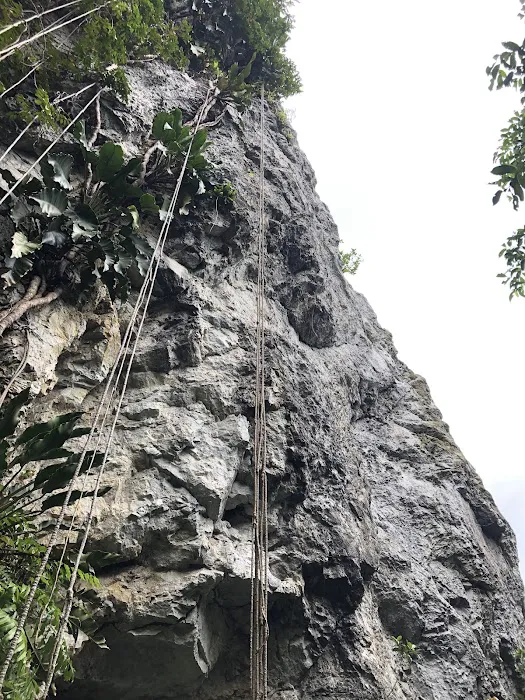 Bukit Bunga, Kg. Datok Johan Picture 5