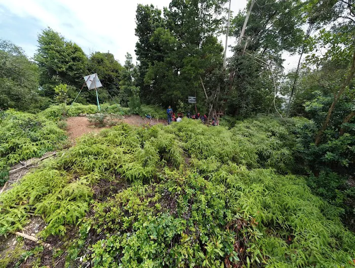 Bukit Bunga, Kg. Datok Johan Picture 9