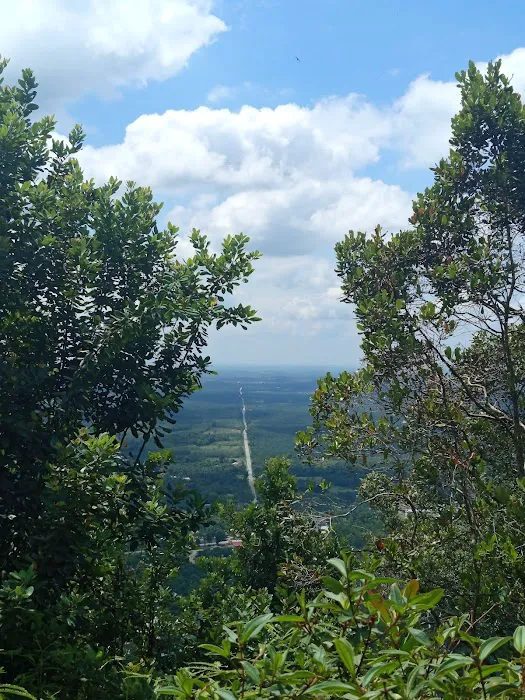 Bukit Bunga, Kg. Datok Johan Picture 8