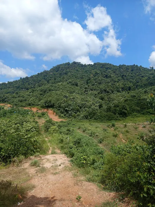Bukit Bunga, Kg. Datok Johan Picture 6