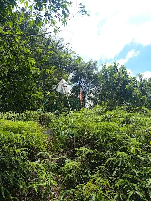 Bukit Bunga, Kg. Datok Johan Picture 1
