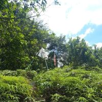 Bukit Bunga, Kg. Datok Johan ico