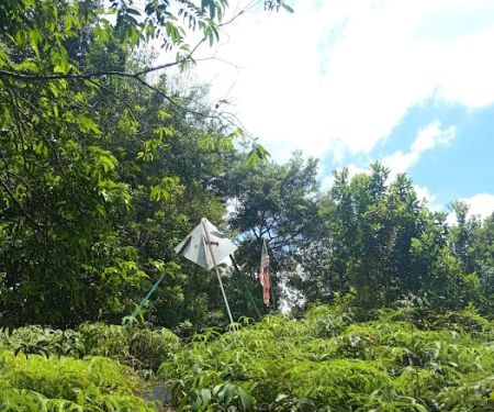 Bukit Bunga, Kg. Datok Johan