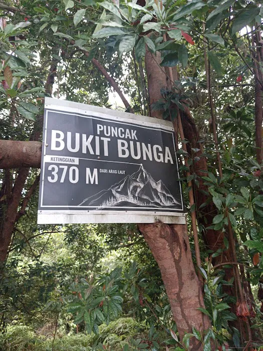 Bukit Bunga, Kg. Datok Johan Picture 10