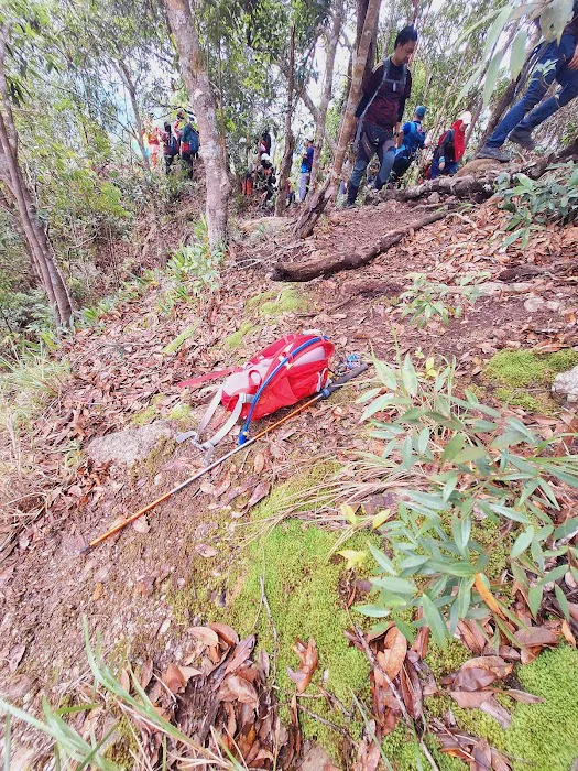 Bukit Mandi Angin Picture 4