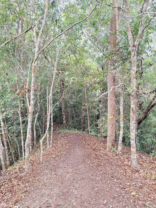 Bukit Mandi Angin Picture 5