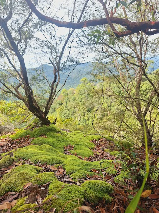 Bukit Mandi Angin Picture 6