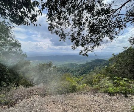 Bukit Mandi Angin