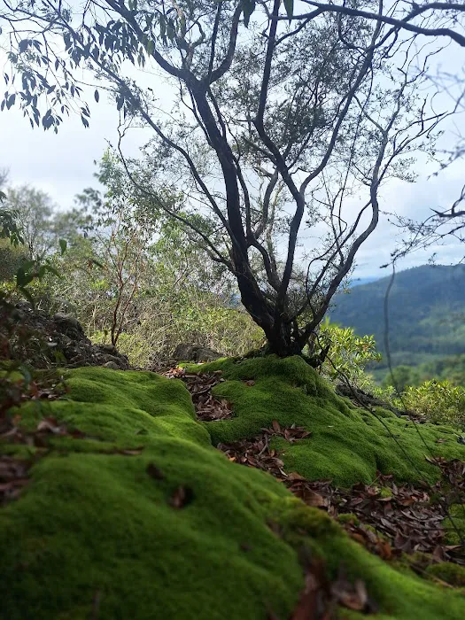 Bukit Mandi Angin Picture 7
