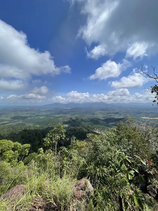 Bukit Bongkok Picture 1