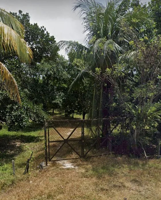 Dusun Pakteh Picture 1