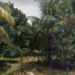 Dusun Pakteh
