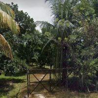 Dusun Pakteh ico