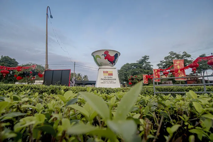 Rooster bowlgon 公雞碗 Picture 2