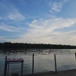 KELONG NELAYAN KAMPUNG PENDAMAR