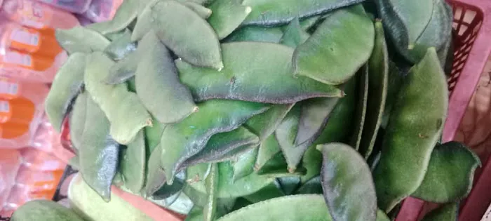 SZ MAISHA ENTPRISE Picture 9