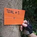 Trail #1