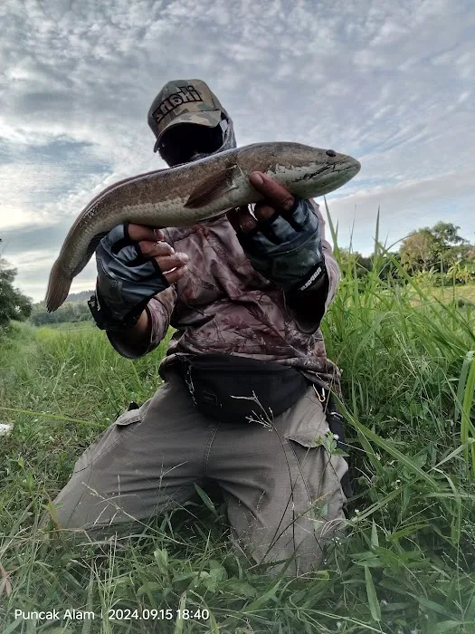 ANGLERS MALAYA Picture 5