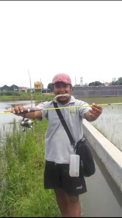 ANGLERS MALAYA Picture 1