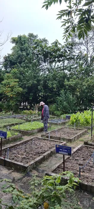 Kebun Barokah Zon K Puncak Alam Picture 2