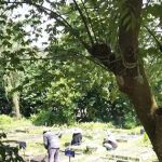 Kebun Barokah Zon K Puncak Alam