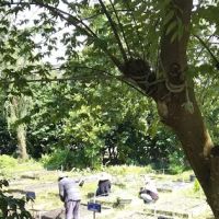 Kebun Barokah Zon K Puncak Alam ico