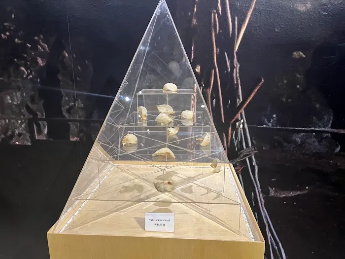 Swiftlet Eco Culture Museum 金丝燕窝生态文化馆 Picture 6