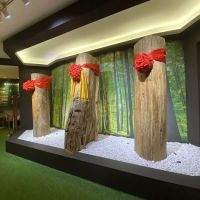 Agarwood Cultural City ico